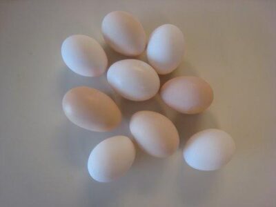 Pay the Farmer or Pay the Doctor Image